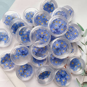 Prensado seco azul blanco Myosotis Sylvatica Forget Me Not flor planta herbario <span class=keywords><strong>para</strong></span> joyería teléfono caso marco DIY fabricación - Product Image 5