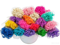 Speciale Munti Kleur Gypsophila Baby's Adem Bloemen Ge conserveerde Gypsophila Baby Star 120g Bloemknop Lamp voor DIY Materiaal Huisdecoratie