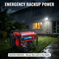 Générateur d'essence à démarrage électrique portable BISON (CHINE) 5KW 6KW 7KW 8KW 9KW 10KW triphasé pour le camping et l'usage domestique
