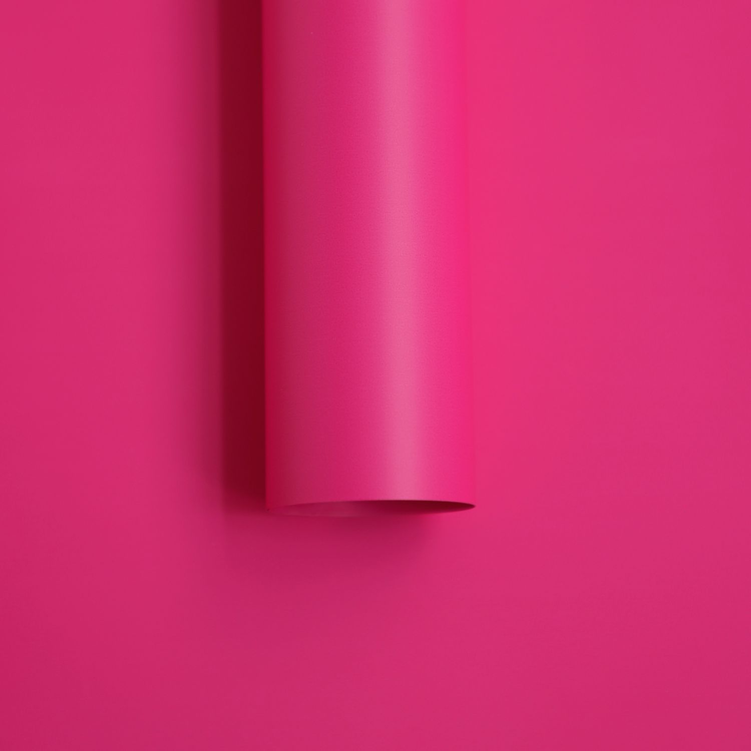 15-Rose rouge