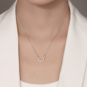 Duoying Fashion Light Luxury bianco Cubic Zirconia 12 zodiacale <span class=keywords><strong>astrologia</strong></span> S925 argento Sterling dodici collana segno stella - Product Image 2