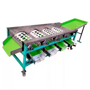 Công nghiệp cam xoài Táo Bơ chanh tươi citrus trái cây phân loại SORTER rửa phân loại máy