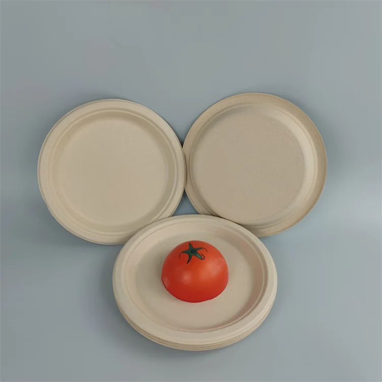 assiette à bagasse jetable