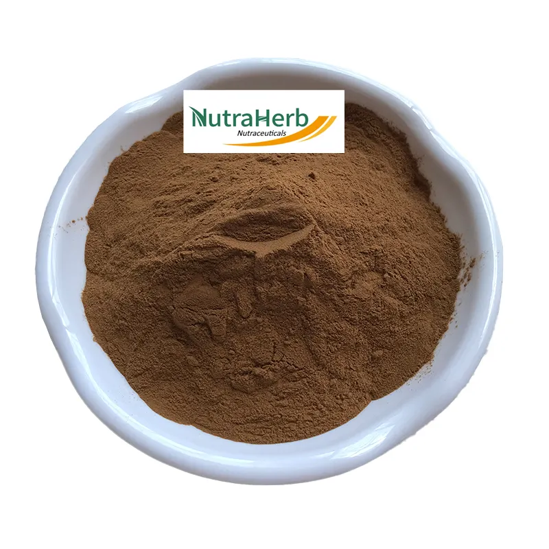 Natural Fenugreek 50% Saponins Fenugreek Seed Extract Powder