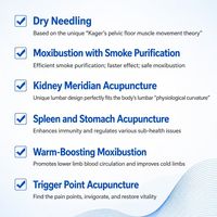 Appareil de Moxibustion à Vapeur Multifonctionnel aux Herbes pour le Bien-être à Domicile et les Soins Corporels – Machine à Vapeur de Moxibustion