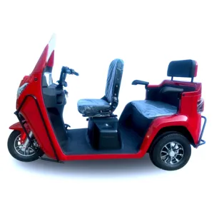 Open Body Motorized Tricycle 3 Wheel Electric Passenger Tricycle Triciclo Electrico