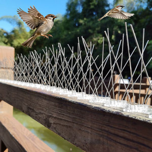 L'uccello a 5 file picchia gli uccelli si appollaiano, fermandosi a nidificare o rimanere a lungo sui balconi - Product Image 6