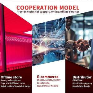 Appareil de beauté LED complet REDSKY, lampe de thérapie par impulsions, machine PDT, 660 nm 850 nm, panneau de luminothérapie LED infrarouge proche, lumière rouge - Product Image 6