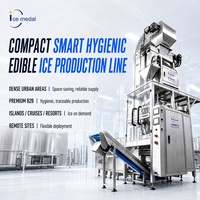 Ligne de production automatique de glace en tubes de 5 tonnes/24h avec machine d'emballage de glace