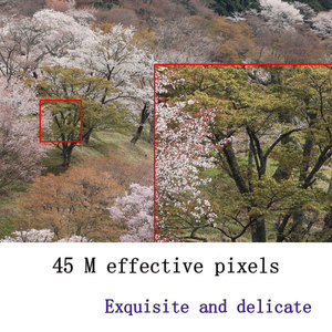 Máy ảnh DSLR chuyên nghiệp full-frame thân máy đơn DongFu Wholesale chính hãng 100% mới, quay phim kỹ thuật số EOSR5 4k 8k HD Macro - Product Image 5