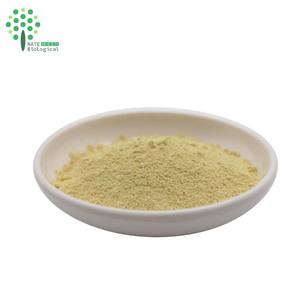 <span class=keywords><strong>Kaempferia</strong></span> <span class=keywords><strong>galanga</strong></span>エキス粉末kaempferol 98% - Product Image 3