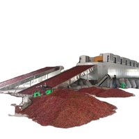 Ligne de production automatique de lavage et de déshydratation des raisins verts, prix d'usine, machines de transformation des raisins, moteur principal PLC