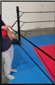 FightBro FPR Portable Mini <span class=keywords><strong>Ring</strong></span> Boxing - Product Image 4