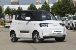 BAW Yuanbao 2025 Edición Líder, Vehículo Eléctrico Puro, Minicoche de 2 Plazas para Adultos, Vehículo Eléctrico BAW Yuanbao - Product Image 2