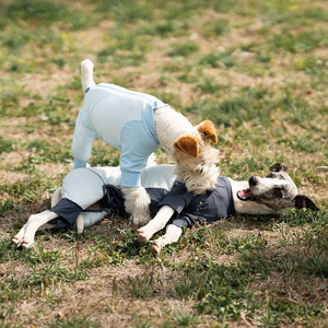 Mono de Verano para Mascotas con Logotipo Personalizado, Ropa Protectora de Secado Rápido, Anti-Caída de Pelo, a Prueba de Insectos y con Protección Solar para Exteriores - Product Image 3