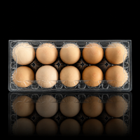 Barquette à œufs 10 unités en PET de qualité alimentaire, type coquille, avec structure antichoc pour fermes avicoles, vente au détail et centres d'emballage