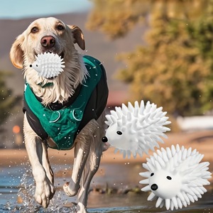 Grensoverschrijdende Buitenlandse Handel Nieuw Product Dropshipping Bal Hond Speelgoed Kauwen En Tandgezondheid Ideaal - Product Image 1