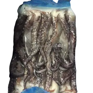 High Quality Frozen Giant Squid Tentacle at a Good Price for Sale