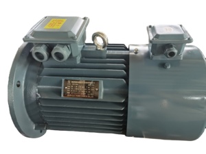 Motor de Inducción de CA Trifásico Serie YVF2 de 60 Hp y 45 Kw con Frenado, Motor Asíncrono Trifásico con Eficiencia IE3 - Product Image 5