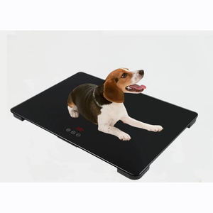 맞춤형 <span class=keywords><strong>100KG</strong></span> 디지털 애완동물 체중계 65*45cm 또는 80*50cm 플랫폼 강화유리 OEM 지원 - Product Image 3