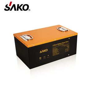 Baterías de Iones de Litio 24V 200AH LiFePo4 con BMS y Ecualizador Integrados - Product Image 4