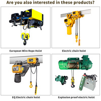 Palans électriques à double vitesse de 6 m et 1 tonne, les plus vendus, palan électrique portable de 10 tonnes pour bâtiments propres, au meilleur prix
