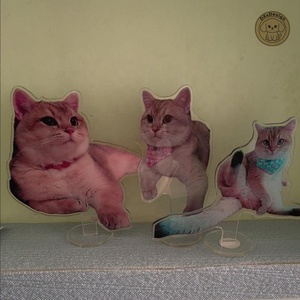Support photo personnalisé en acrylique PET OEM/ODM pour animaux de compagnie – Souvenir unique pour chat et <span class=keywords><strong>chien</strong></span> - Product Image 5