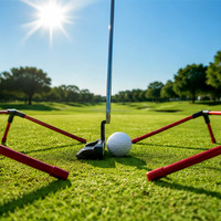 SwingPerfect - Entrenador de Control de Amplitud para Putt de Golf, Limitador de Longitud de Golpe Ajustable de Fibra de Vidrio, 280g, Ayuda para Práctica en Interiores y en el Green