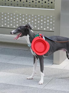 Mangkuk buah jeruk mewah desain ramah lingkungan silikon, mangkuk hewan peliharaan dapat dilipat, Anti tumpah makanan dan air untuk anjing dan kucing - Product Image 5