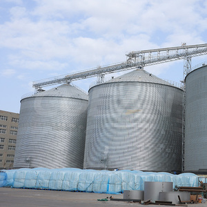 Proyecto Llave en Mano para Empresas de Semillas: Silo de Acero de 200-5000 Toneladas para Almacenamiento a Granel de Maíz, Arroz y Granos, Silo Granario para Molinos de Harina de Trigo - Product Image 5