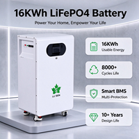 Batterie au lithium fer phosphate 51,2 V 200 Ah à montage en rack, certifiée, pack de batteries au lithium 48 V pour système d'énergie solaire, directement de l'usine