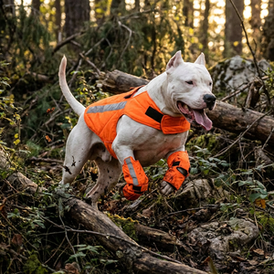 Chaleco Protector para Perros, Antipuñaladas, Protección para Pecho y Vientre, Camuflaje, Alta Visibilidad, Transpirable, Certificado EN388 Nivel 4 - Product Image 4