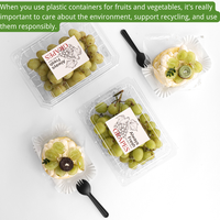 Fourniture de boîtes en PET transparentes à clapet pour fruits frais Conteneur d'emballage Perforé en plastique Tomate Cerise Raisin Fruits Punnets Boîtes