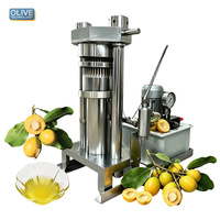 Presse à huile à froid automatique 6 L 100W, machine de pressage hydraulique 750W pour graines de Ximenia