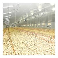 Bâtiment d'élevage de poulets de chair à prix abordable en Chine