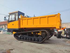 4-20ton большой емкости мини-гусеничный самосвал дизельный двигатель грузовик для груза - Product Image 6