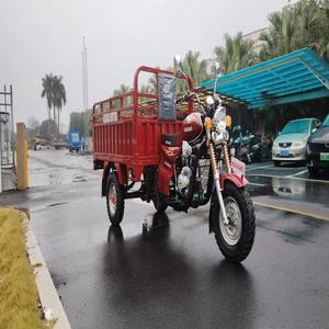 Open Body 200cc Tricycle Motorcycle Engine Three Wheel <b>Gasoline</b> Motorcycle - Product Image 3