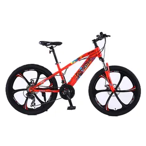 Cina campione gratuito di fabbrica 24 26 pollici Mountain Bike 7 21 24 27 velocità sport all'aria aperta bici da strada freni a disco multipli - Product Image 1