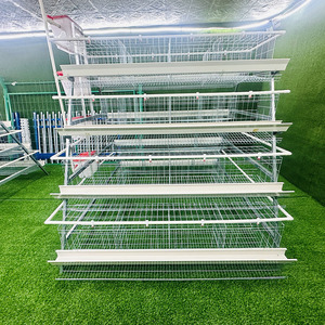 Corral de Varios Niveles <span class=keywords><strong>para</strong></span> <span class=keywords><strong>Gallinas</strong></span> Ponedoras en Condición Nueva, Jaula Casera <span class=keywords><strong>para</strong></span> Mascotas de Granja, Gallinero de Cría por Capas en Venta - Product Image 4