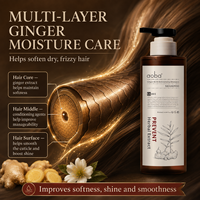 Shampoo hydratant riche au gingembre Aoba, prévention de la perte de cheveux, volumisant, extrait d'herbes, cheveux fins et doux, OEM ODM, étiquette privée