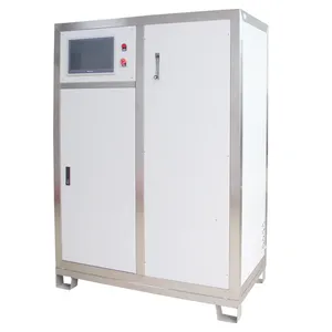 Hot sale 300g ozone generator large new technology ozone generators for water treatment for water purifier