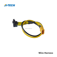 Conector de arnés hecho a medida Fabricante profesional de procesamiento de arnés de cables