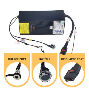 รถเข็นหุ่นยนต์ไฟฟ้าแบตเตอรี่ลิเธียมไอออน24V 36V 48V 60V 72V - Product Image 3