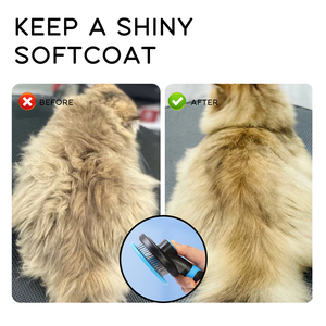 Brosse de toilettage pour animaux de compagnie en acier inoxydable de luxe à démoulage rapide, avec picots massants et auto-nettoyants, pour chiens et chats - Product Image 6