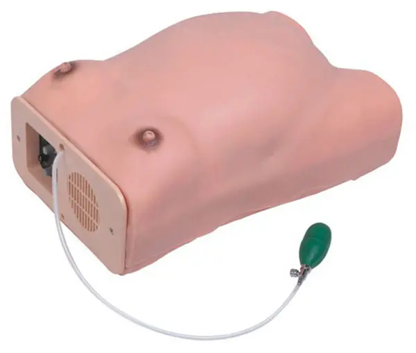 Modelo de detecção maternal de computador avançado, simulador de treinamento de mulher grávida eletrônico