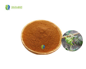 SLBIO 純天然トリビュラス・テレストリス抽出物粉末 40%-90% 総サポニン含有 - Product Image 2