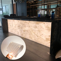 Panneaux de plafond d'éclairage intérieur Feuille de Led flexible Panneau électroluminescent transparent Grand panneau flexible pour rétro-éclairage