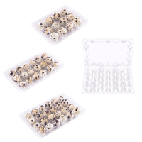 Barquettes en plastique PET recyclé pour œufs de caille, 12 ou 24 alvéoles, emballage pour œufs de caille, boîte à clapet, plateau à 12 ou 24 trous