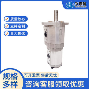 ปั๊มเกียร์คู่ Xingchenrui Automation Cbqt รุ่น E563 F410 สำหรับส่งน้ำมันไฮดรอลิก แบบยึดหน้าแปลน ขับเคลื่อนด้วยไฟฟ้า - Product Image 5