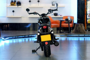 BENDA CHINCHILLA 250 - Product Image 6